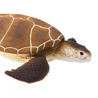 Green Sea Turtle Toy - Sea Life Toys by Safari Ltd.