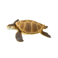 Green Sea Turtle Toy - Sea Life Toys by Safari Ltd.