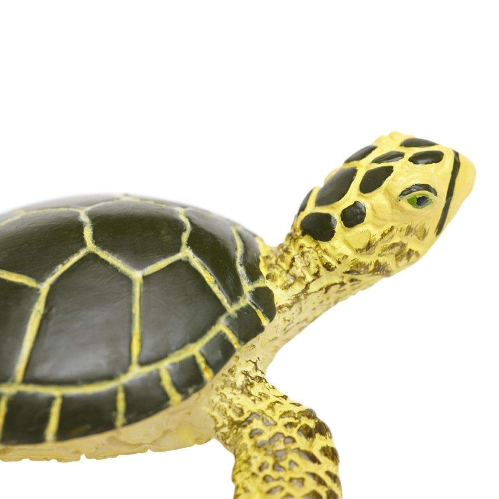 Green Sea Turtle Baby Toy - Sea Life Toys by Safari Ltd.