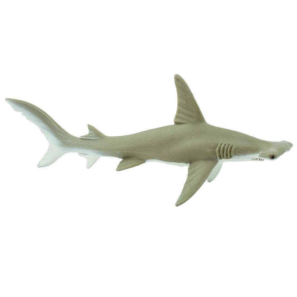 Hammerhead Shark Toy - Sea Life Toys by Safari Ltd.