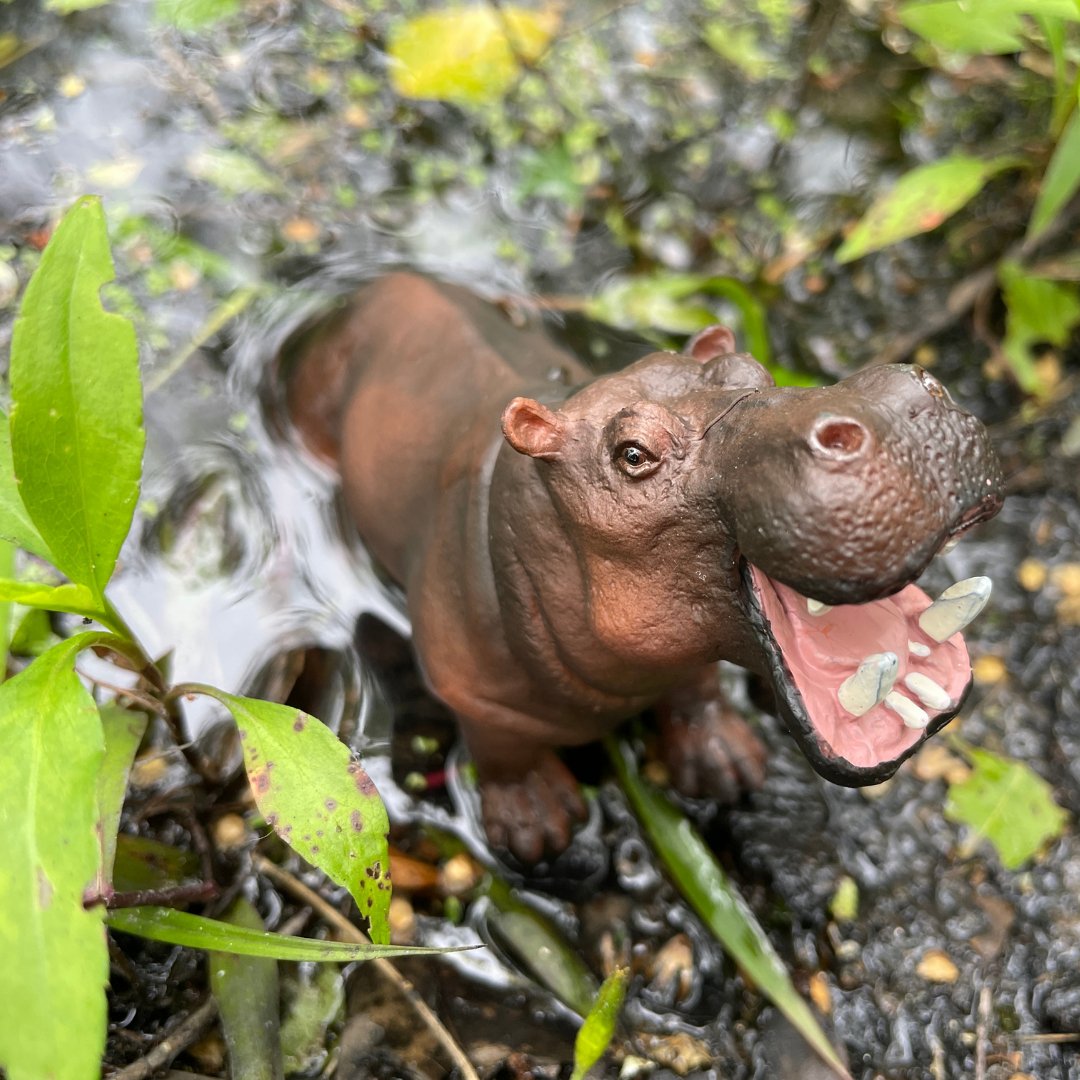 Hippopotamus Toy - Safari Ltd®