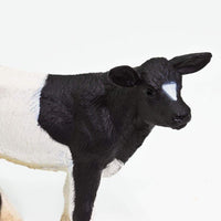 Holstein Calf - Safari Ltd®