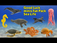 Sea Life Fun Pack