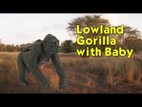 Lowland Gorilla with Baby Toy