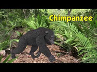 Chimpanzee Toy