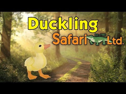 Duckling Toy