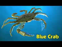 Blue Crab Toy