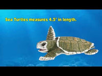 Kemp's Ridley Sea Turtle Baby Toy