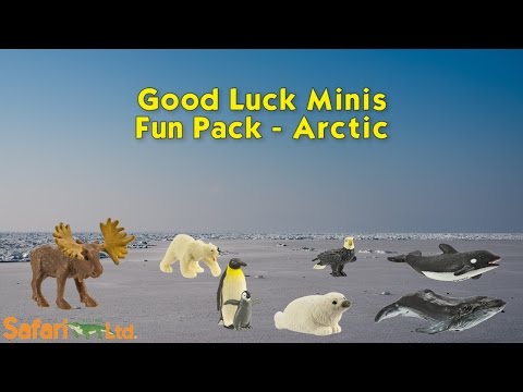 Arctic Fun Pack