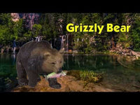 Grizzly Bear Toy