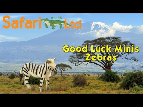 Zebras - 192 pcs - Good Luck Minis®