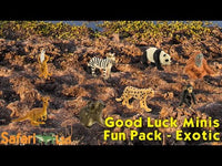 Exotic Fun Pack