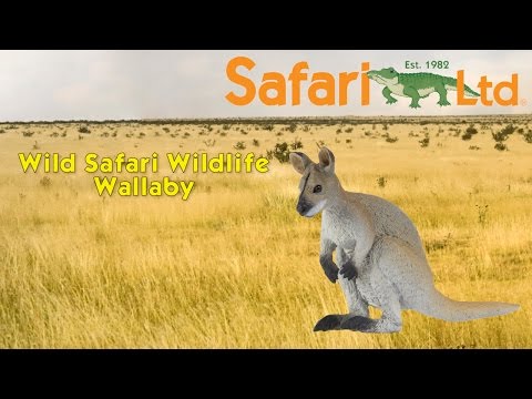 Wallaby Toy