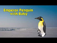 Emperor Penguin with Baby Toy