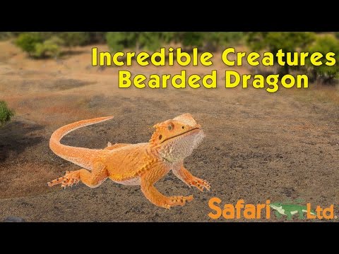 Bearded Dragon Toy