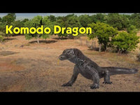 Komodo Dragon Toy