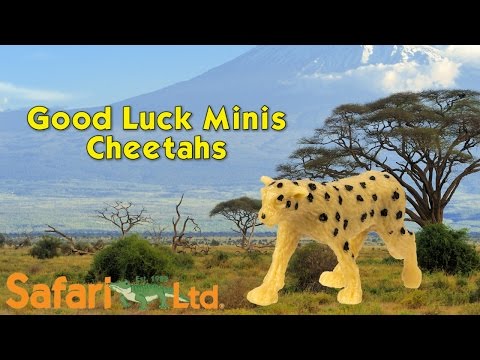 Cheetahs - 192 pcs - Good Luck Minis®