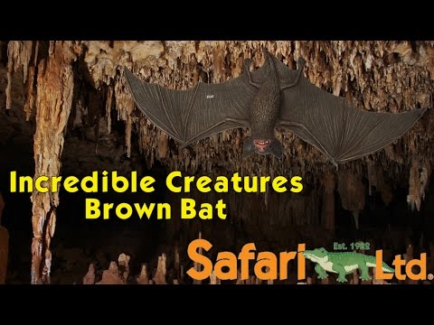 Brown Bat Toy