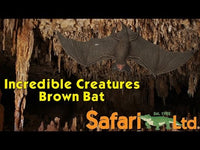 Brown Bat Toy