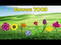 Flowers TOOB®