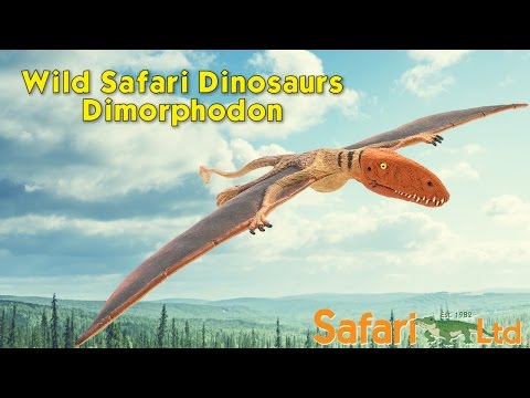 Dimorphodon Toy