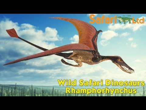 Rhamphorhynchus Toy