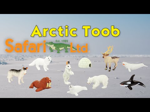 Arctic Animal Toys TOOB®