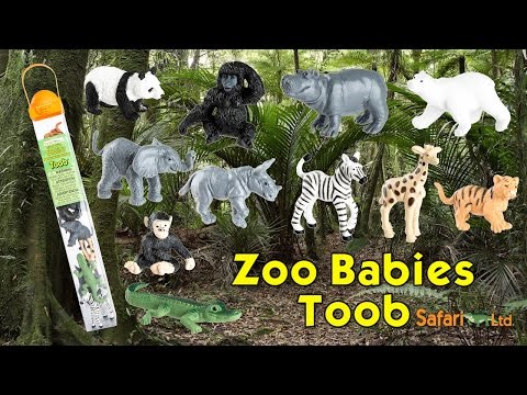 Zoo Babies TOOB®