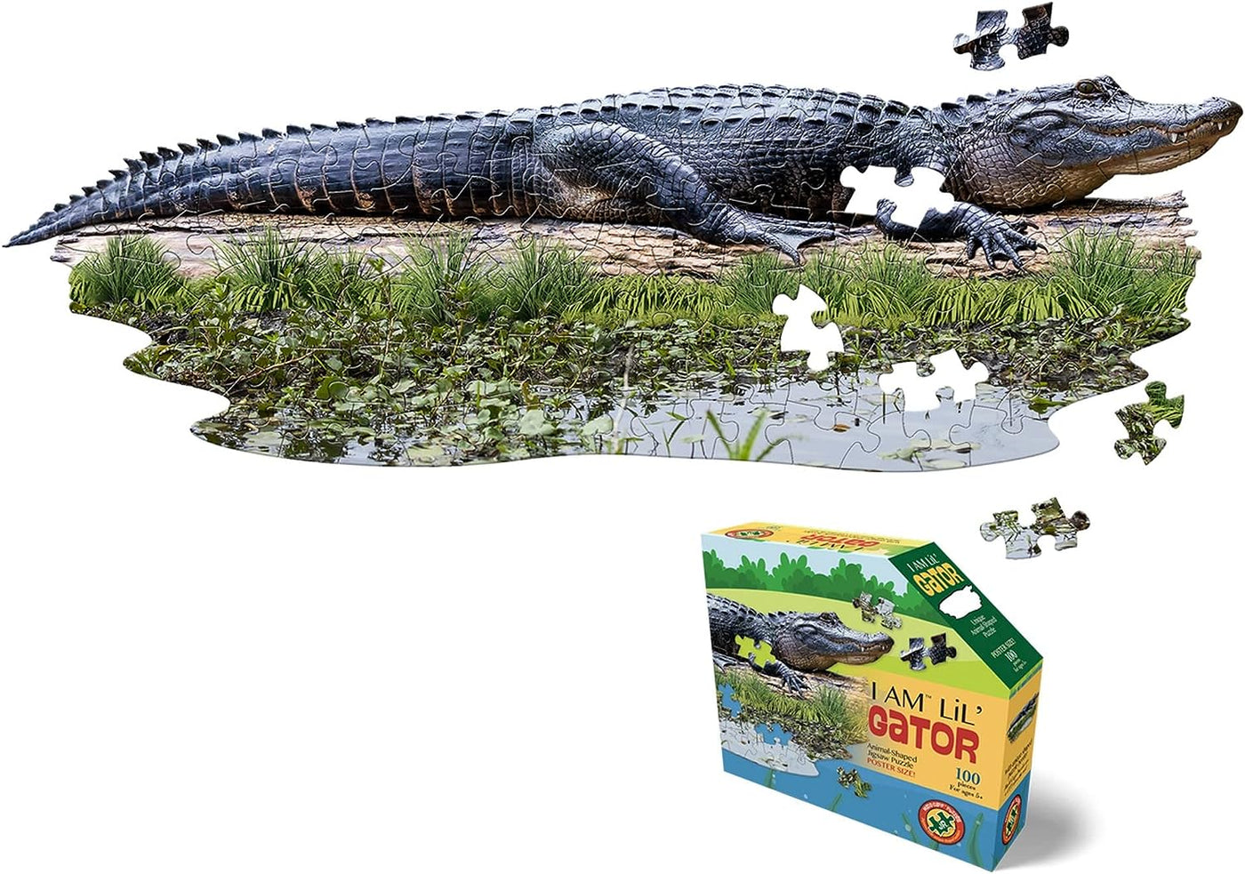 I Am Lil' Gator - 100 pc. Puzzle - Safari Ltd®