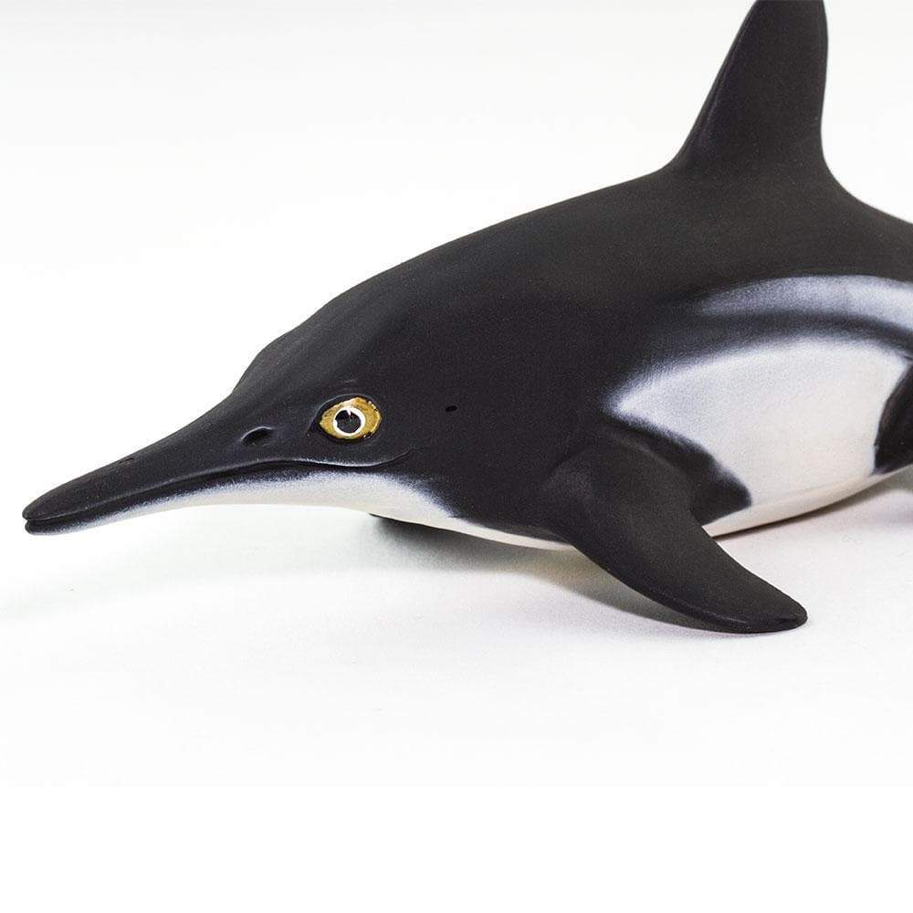 Ichthyosaurus Toy | Dinosaur Toys | Safari Ltd.