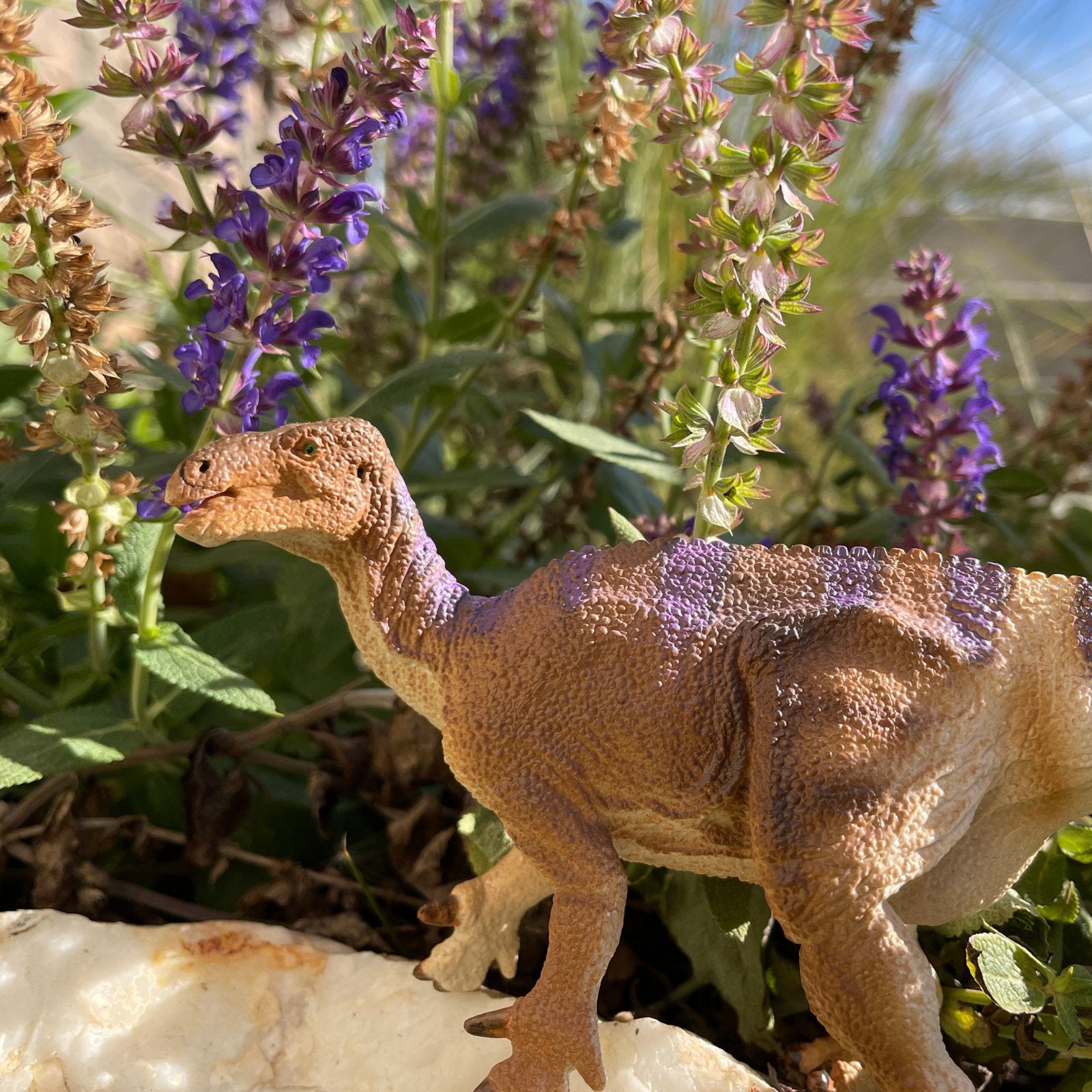 Iguanodon Toy - Safari Ltd®