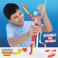 Interactive Human Body Toy - Safari Ltd®