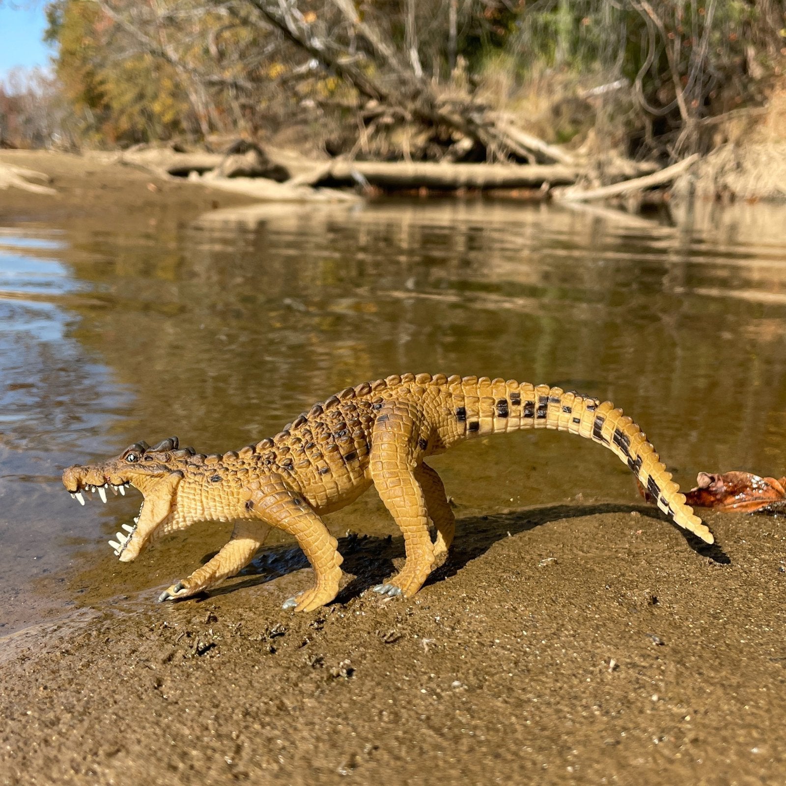 Kaprosuchus Toy - Safari Ltd®