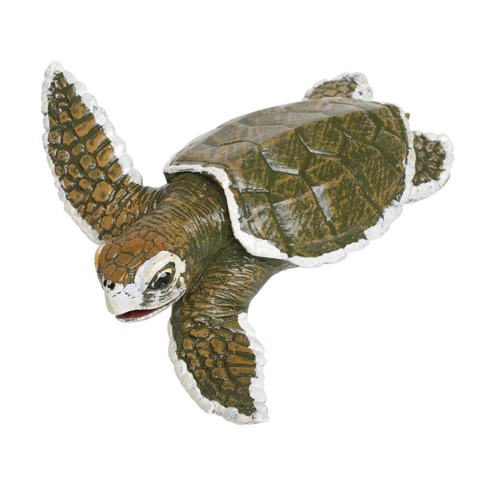 Kemp's Ridley Sea Turtle Baby - Safari Ltd®