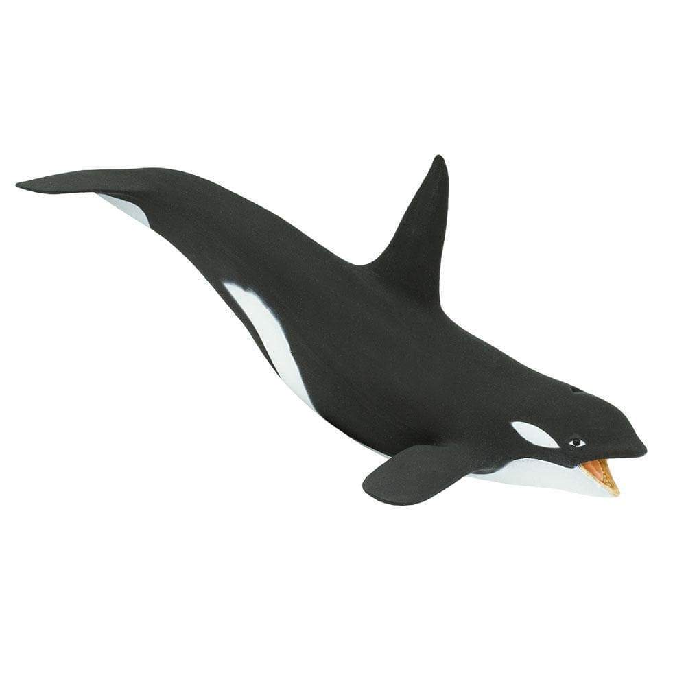 Killer Whale (Orca) Toy - Sea Life Toys by Safari Ltd.