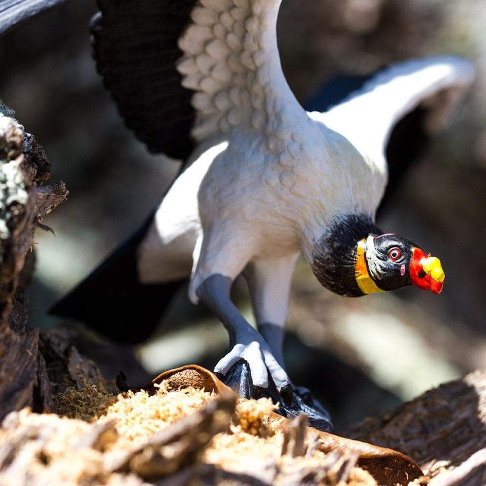 King Vulture Toy - Safari Ltd®