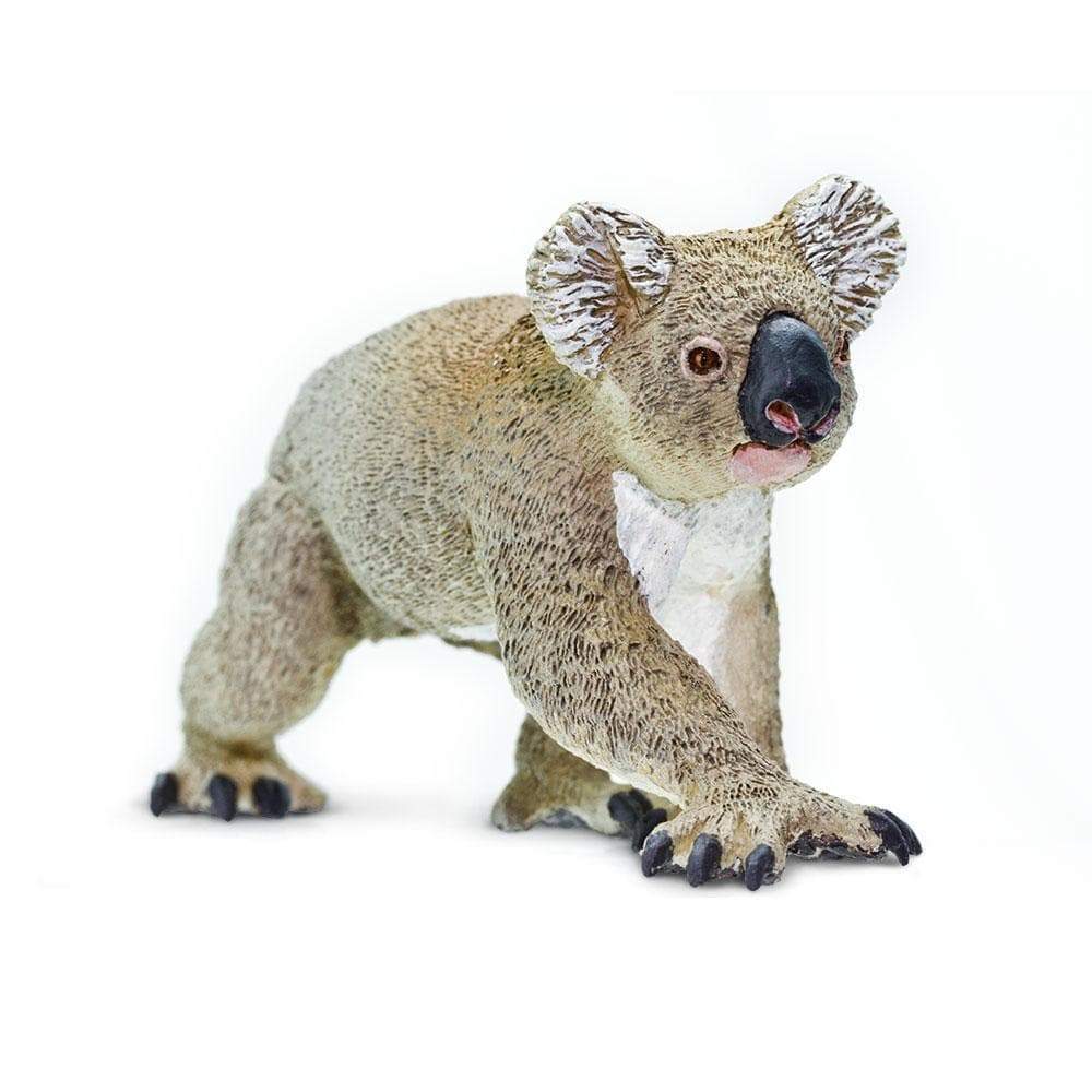 Koala Toy | Wildlife Animal Toys | Safari Ltd.