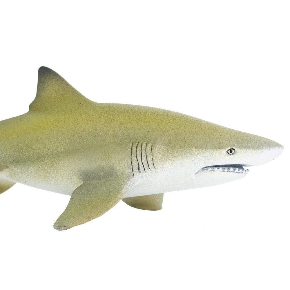 Lemon Shark Toy - Sea Life Toys by Safari Ltd.