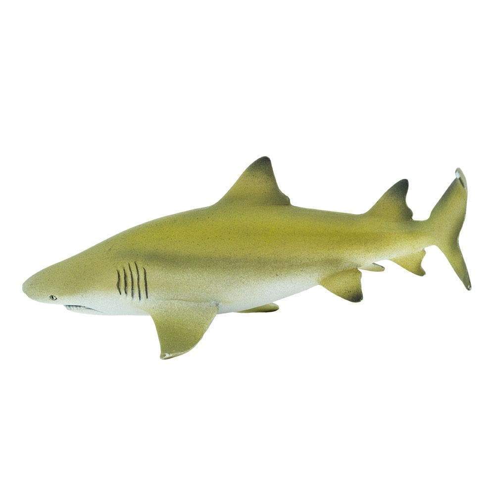 Lemon Shark Toy - Sea Life Toys by Safari Ltd.