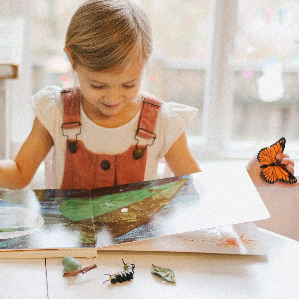 Life Cycle of a Monarch Butterfly | Montessori Toys | Safari Ltd.