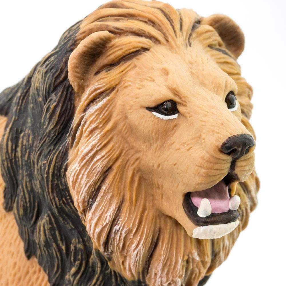 Lion Toy | Wildlife Animal Toys | Safari Ltd.