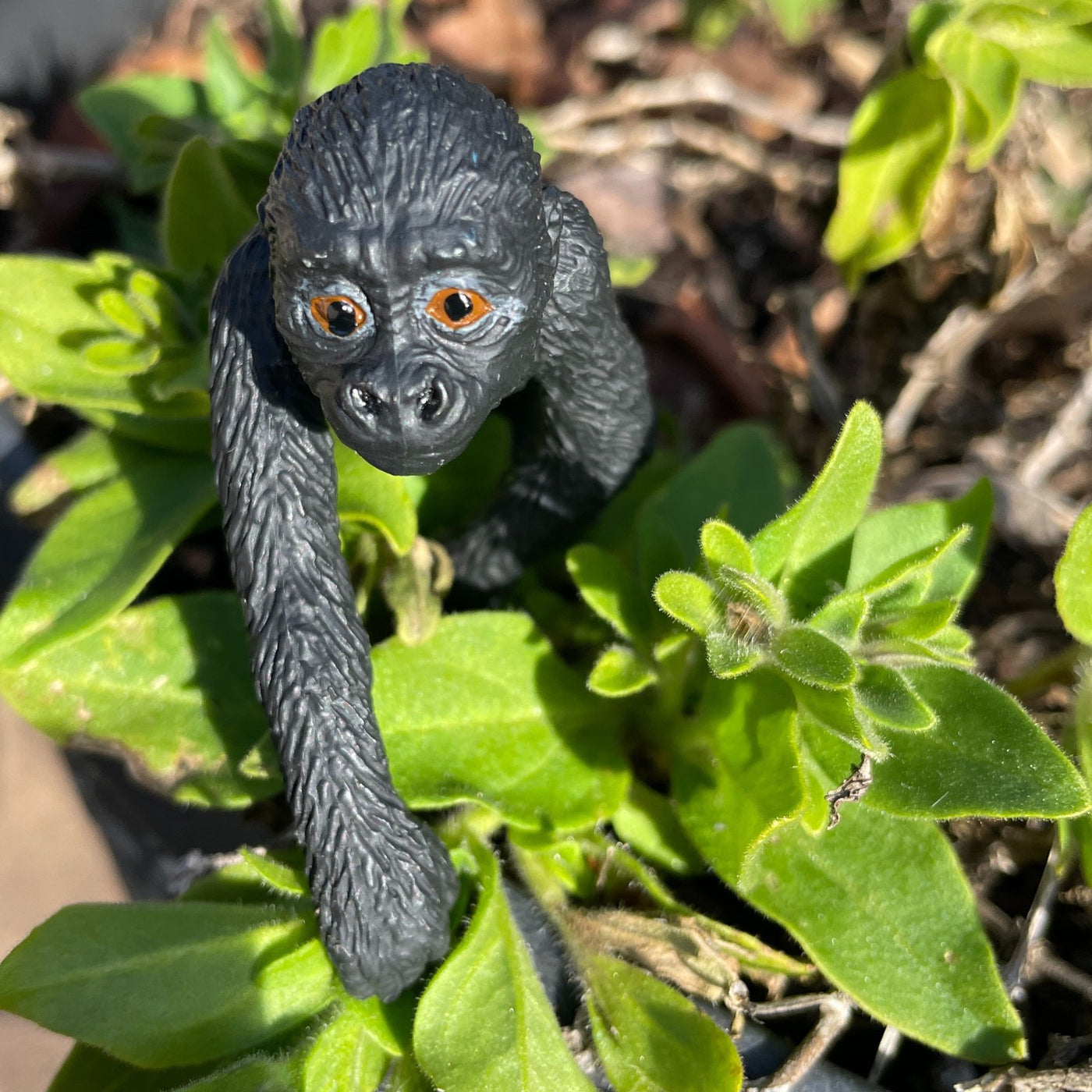 Lowland Gorilla Baby Toy - Safari Ltd®