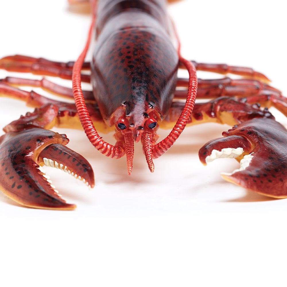 Maine Lobster - Safari Ltd®