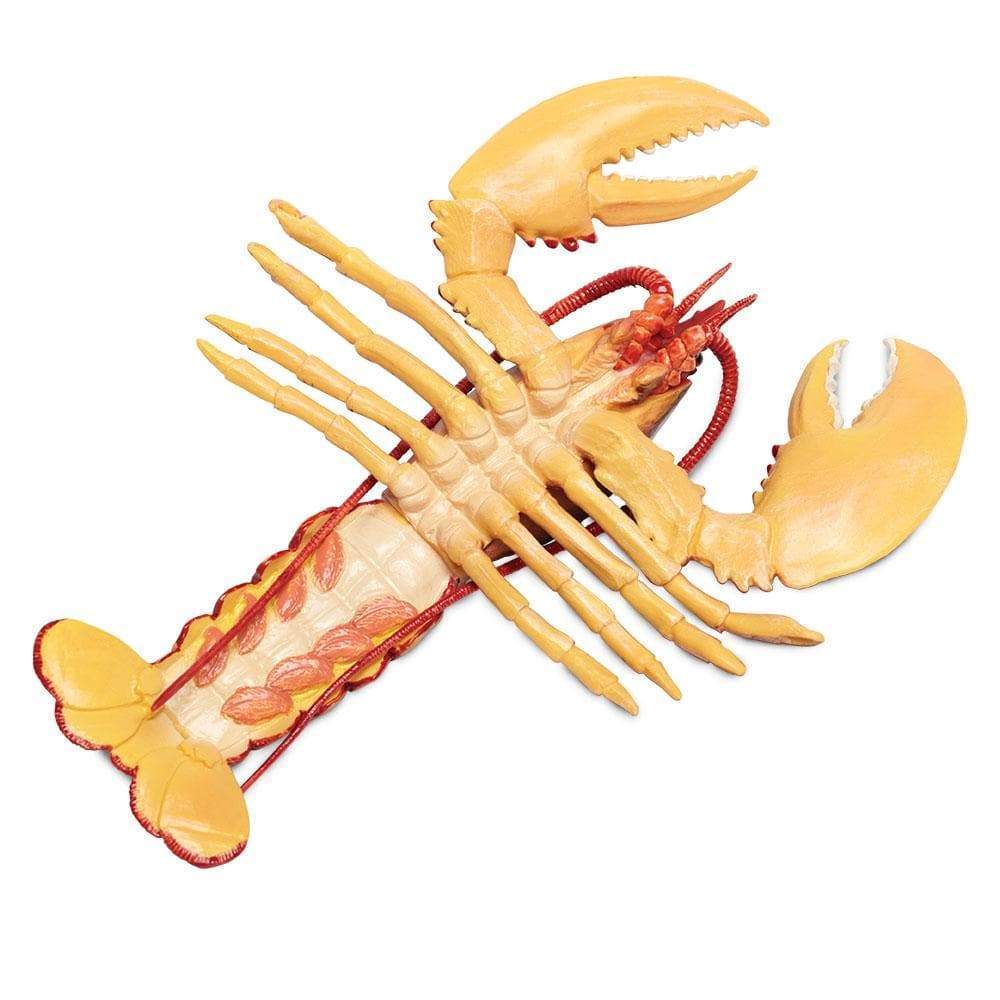 Maine Lobster - Safari Ltd®