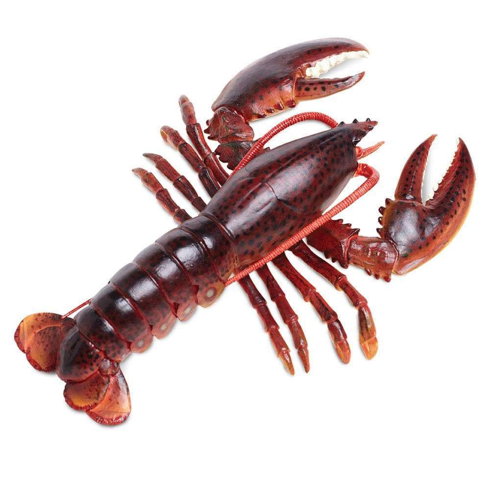 Maine Lobster - Safari Ltd®