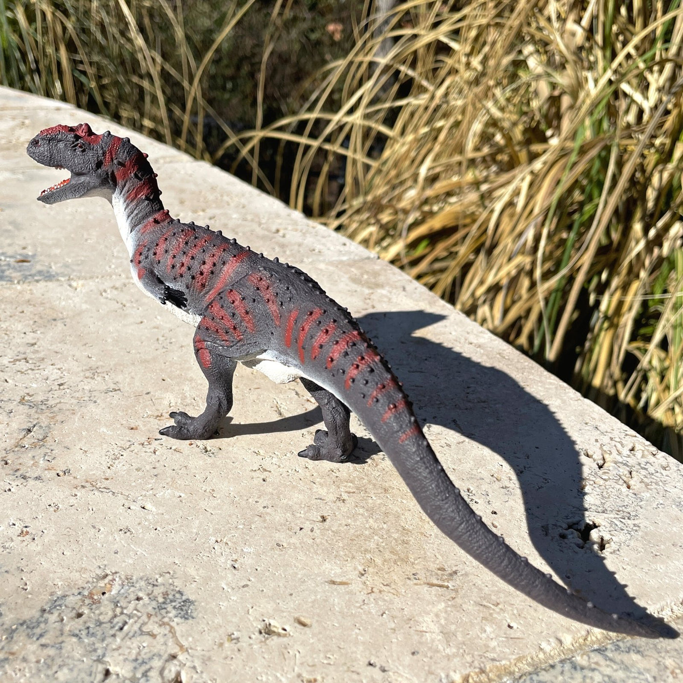 Majungasaurus Toy Figure - Safari Ltd®