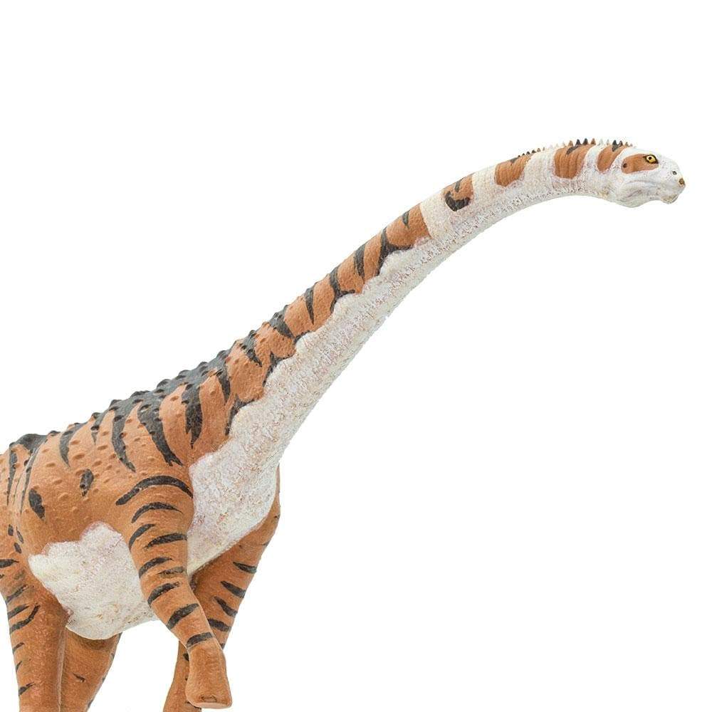 Malawisaurus Toy | Dinosaur Toys | Safari Ltd.