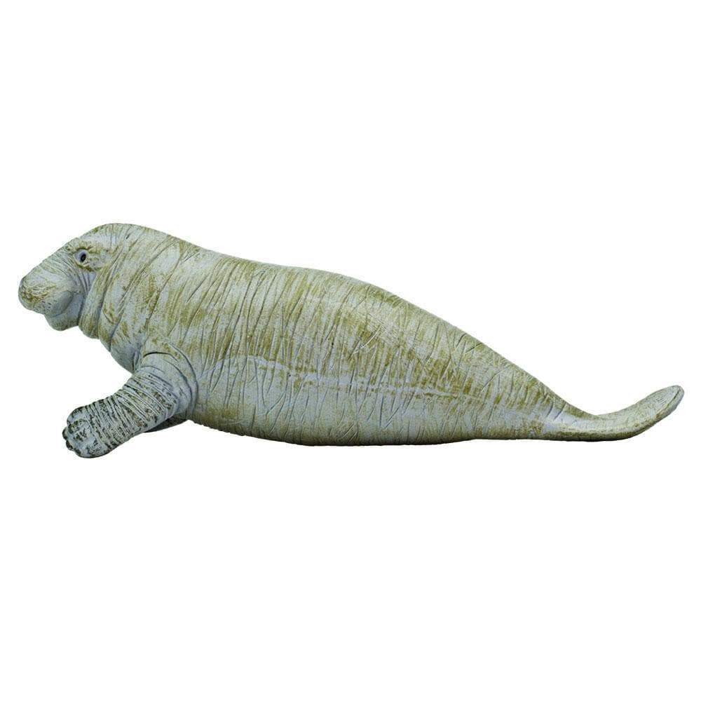 Manatee - Safari Ltd®