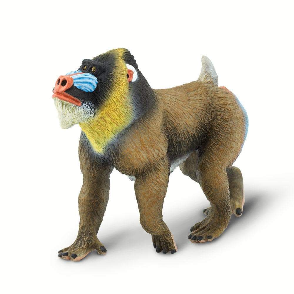 Mandrill - Safari Ltd®