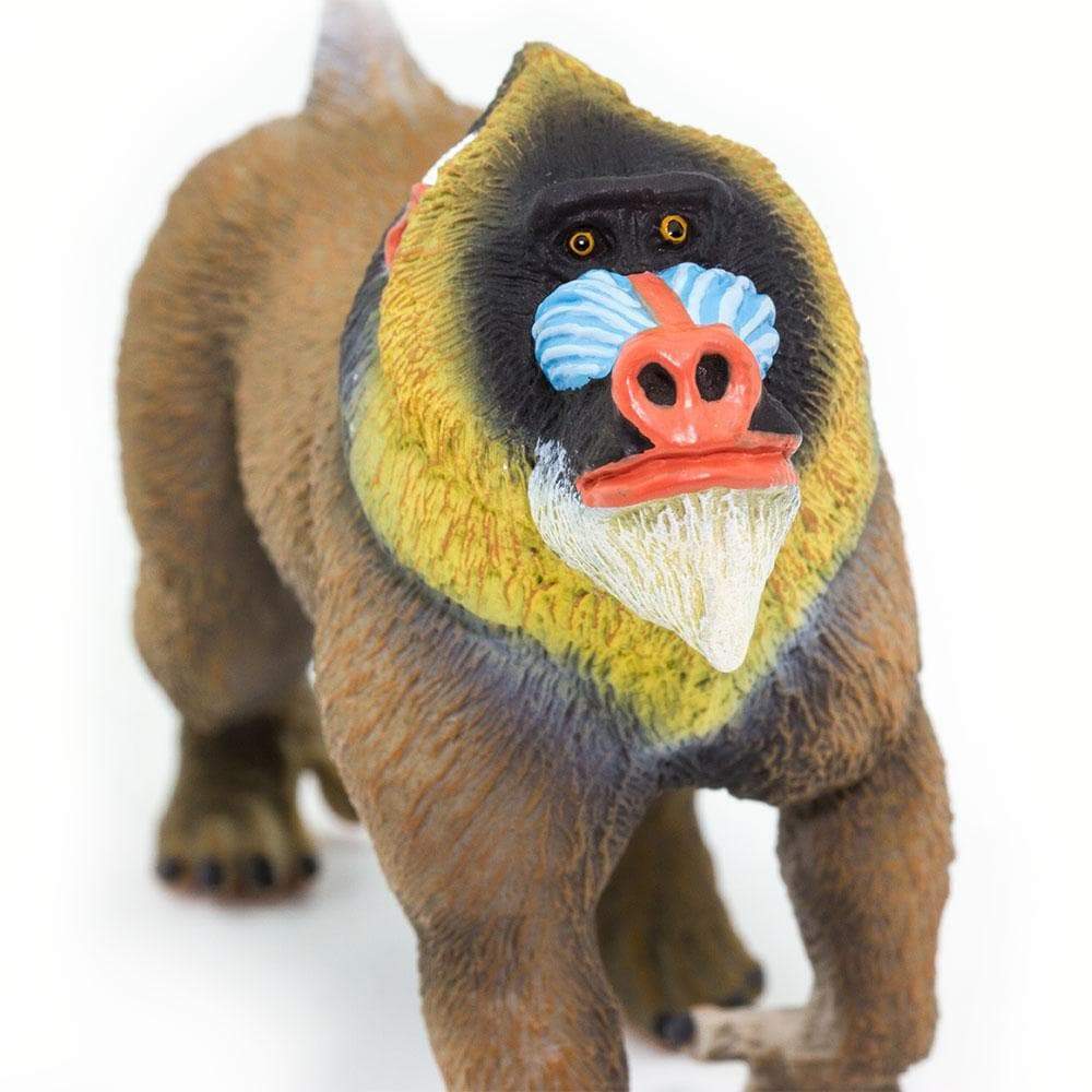 Mandrill - Safari Ltd®